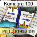 Kamagra 100 12